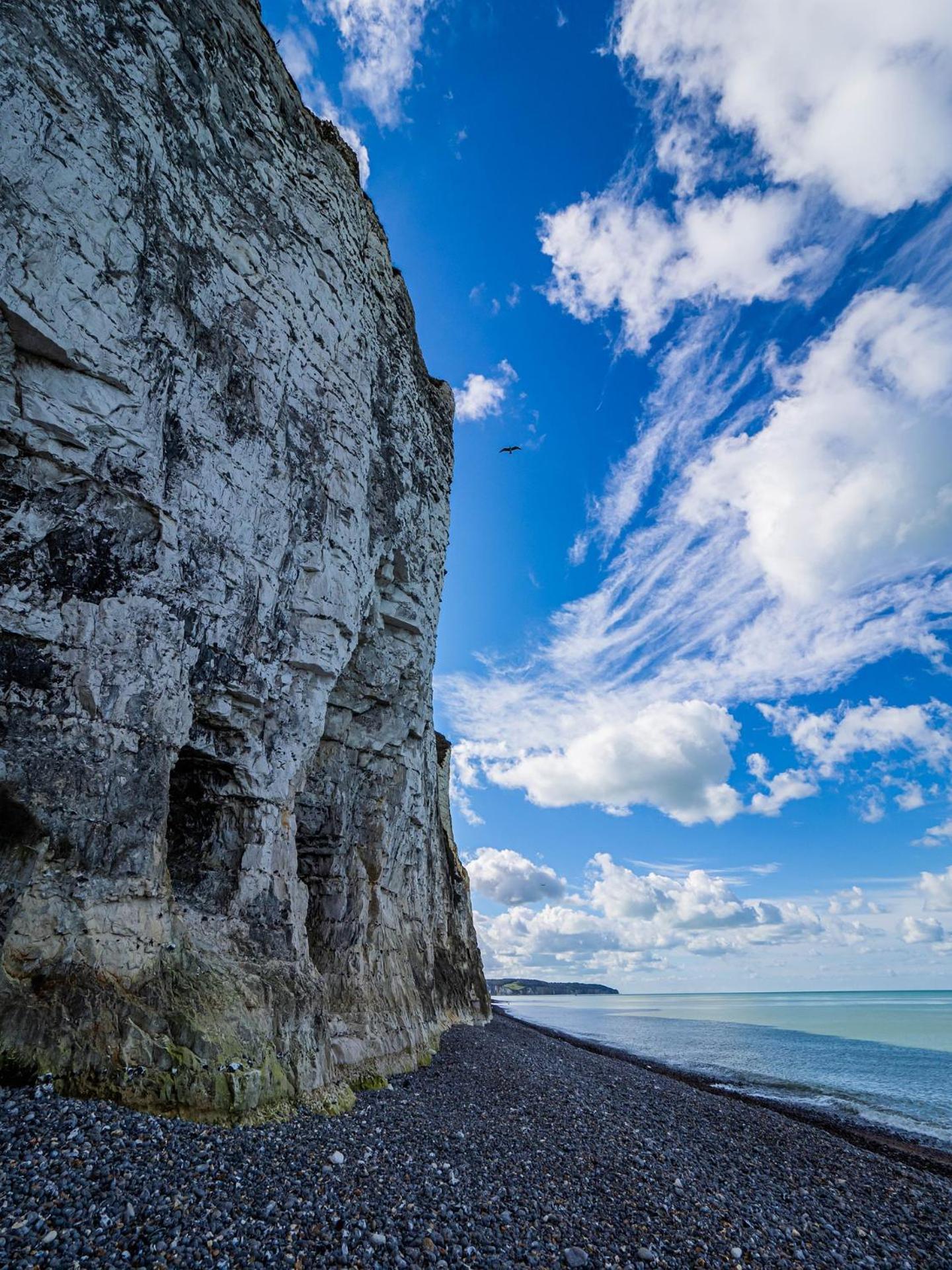 Le Voilier Ensoleille - Proximite Plage & Gare - Confort & Tranquillit Dieppe Exteriör bild